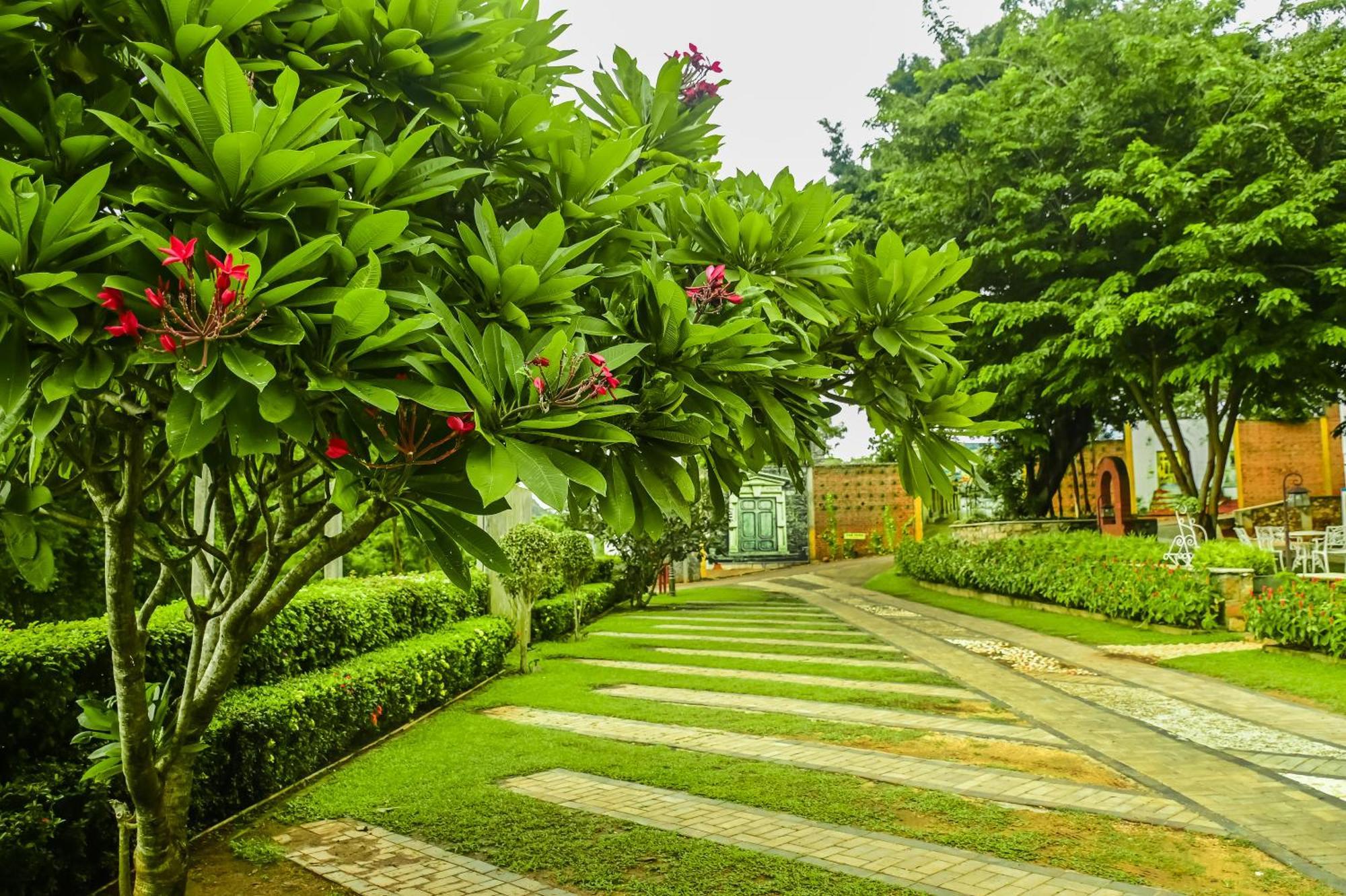 Agbo Hotel Polonnaruwa Zewnętrze zdjęcie